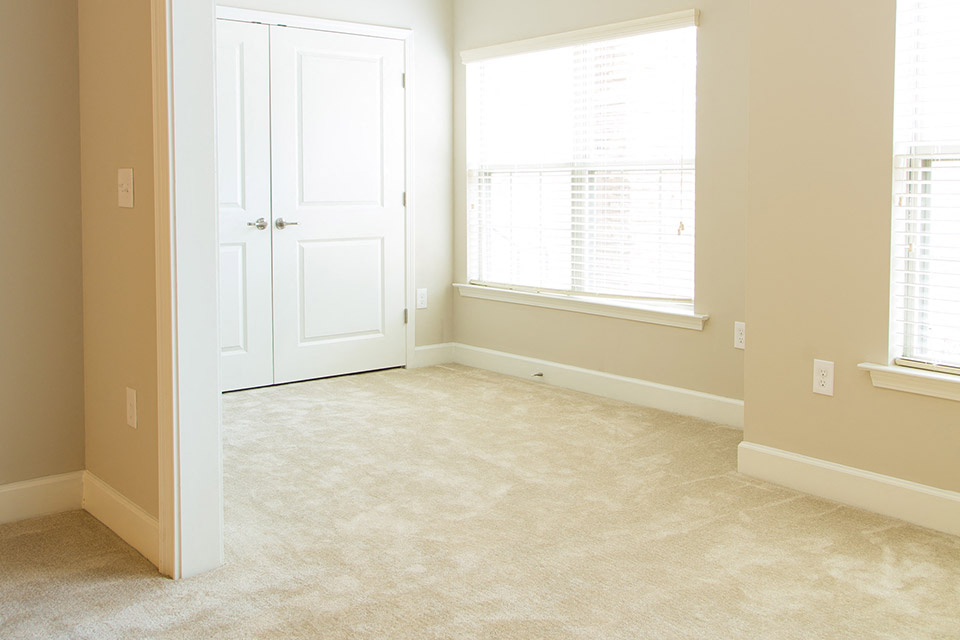 bed room with carpet