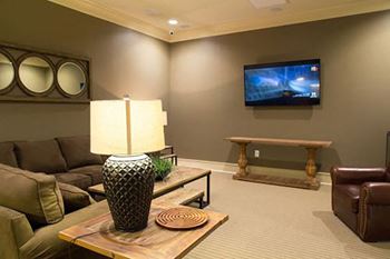 Media Room with TV