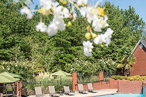 New Apartments for Rent in Columbus GA RentCafe New Apartments for Rent in Columbus GA RentCafe