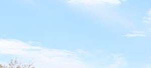 Baytowne Apartments Champaign Reviews Baytowne Apartments Champaign Reviews