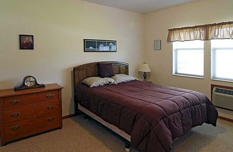a bedroom with a bed and a dresser