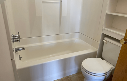 a bathroom with a toilet and a bath tub