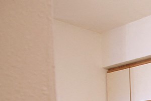 1624 Fordem Ave 1-2 Beds Apartment for Rent - Photo Gallery 2