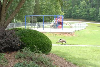 Playground