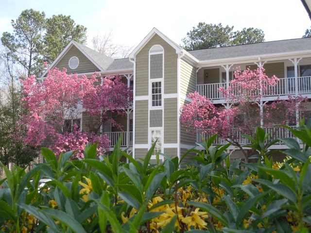 the building where the apartment is located