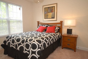 5523 NC Highway 55 1 Bed Apartment for Rent - Photo Gallery 4