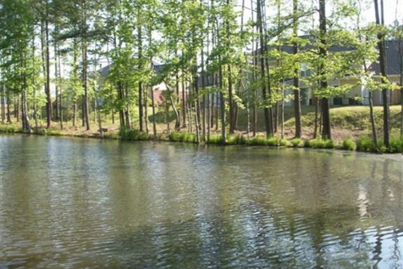 a body of water with trees on the side of it