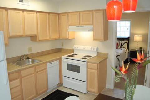 a kitchen with a stove and a sink