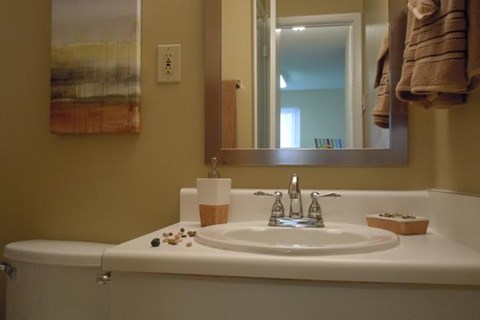 a bathroom with a white sink and a mirror