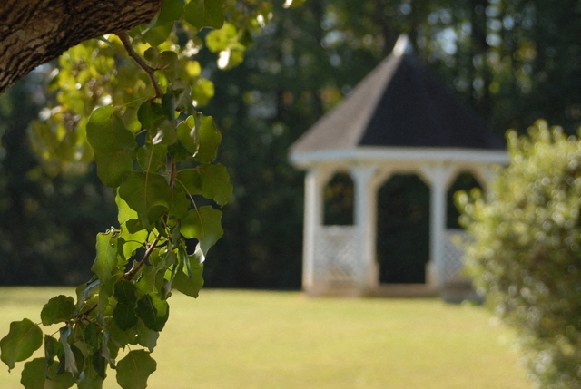 a gazebo in the middle of a field with a tree in front