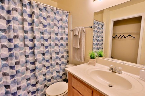 a bathroom with a shower and a sink and a toilet