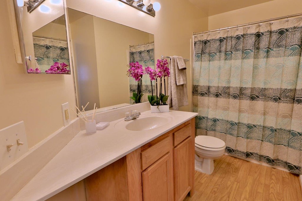 a bathroom with a sink and a toilet and a shower