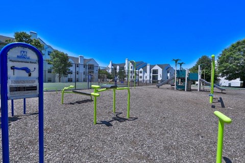 our community has a playground and many amenities including a dog park