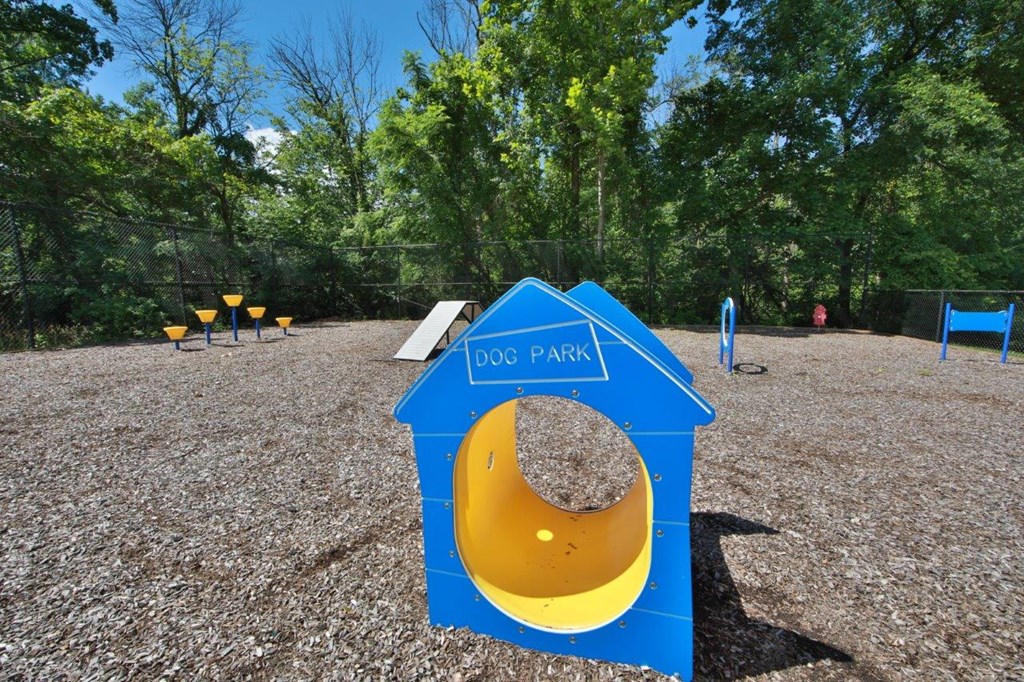 a dog park in a blue dog house with a yellow hat on it