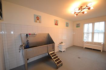 Dog Care at Link Apartments® Mixson, South Carolina, 29405
