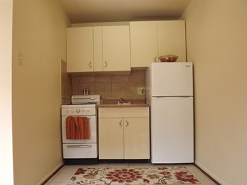 1020 Logan Studio Apartment for Rent - Photo Gallery 3