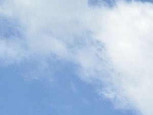 Chauncey Pointe Senior Apartments 1005 Chauncey Lane Bowling Green Oh Rentcafe