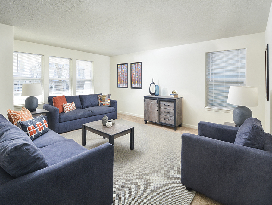 A living room with a blue couch, a grey couch, a coffee table, and a cabinet with a lamp on top.