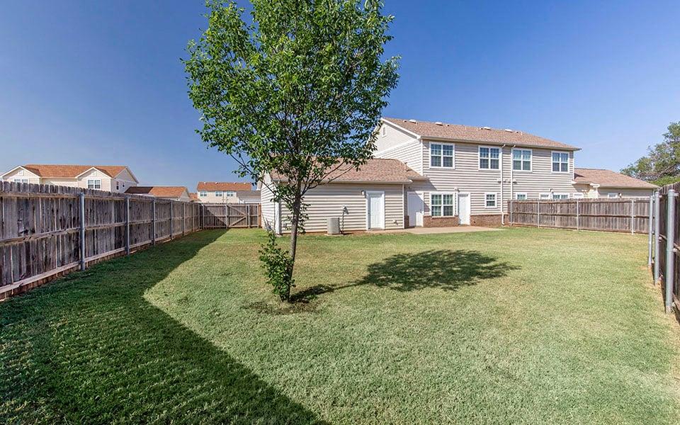 a backyard with a tree and a fence