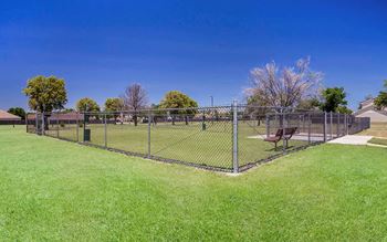 Dog park