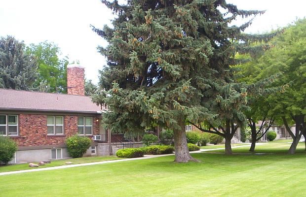 College Park Lawn and Mature Trees College Park Lawn and Mature Trees - Photo Gallery