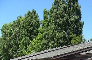 View of building with landscaping Property elevation with landscaping