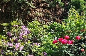 Garden area with table Garden area with table - Photo Gallery 4