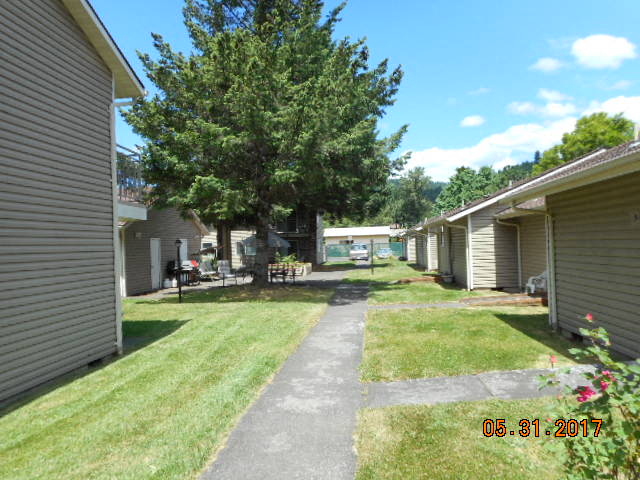 Mature trees on property