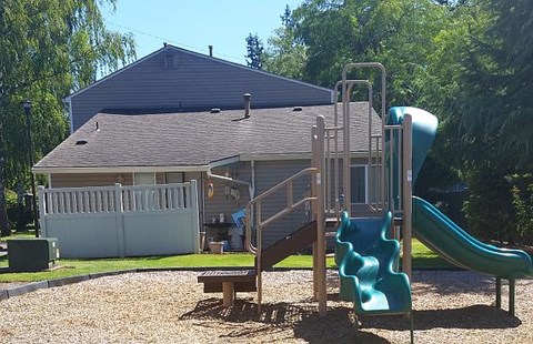 a playground with a slide  and a house