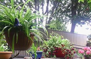 Landscaping landscaping - Photo Gallery 2