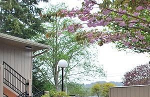 additional courtyard 3117 Ridgeway 1 Bed Apartment, Affordable for Rent - Photo Gallery 4