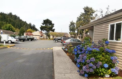 a street with a house and flowers on the side of it
