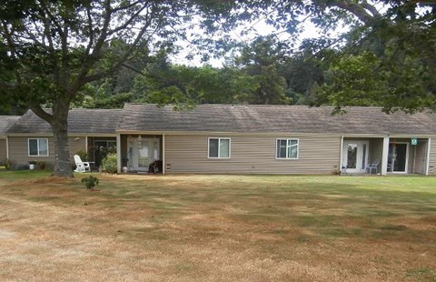 a brown house with a yard and a tree