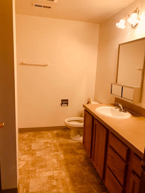 a bathroom with a toilet and a sink and a mirror