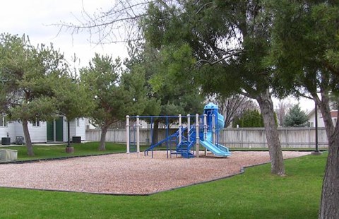 a blue playground in a park with trees