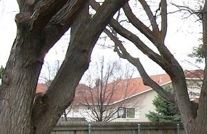 Backyard and patio with table backyard and patio - Photo Gallery 3