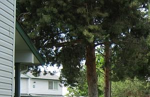 Landscaping and parking landscaping and parking area - Photo Gallery 4