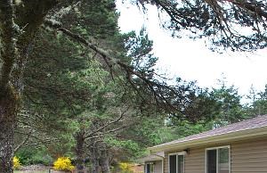 landscaping and rear of building