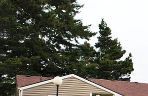 building exterior