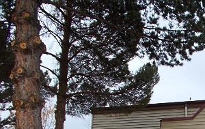 Rent Cheap Apartments In Oregon From 586 Rentcaf 233