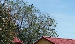 Building and dumpster Building with dumpster - Photo Gallery 5