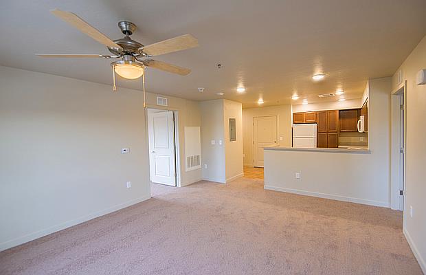 Living room and kitchen