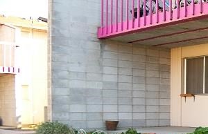Landscaping near patio