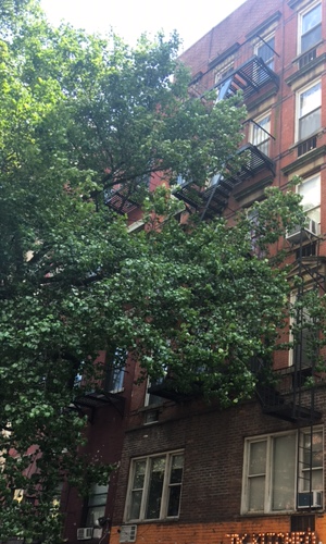 26 St Marks Place (8th Street) between 2nd and 3rd Ave.