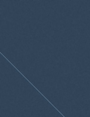 A1