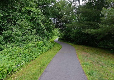 a paved path in a park with trees and grass