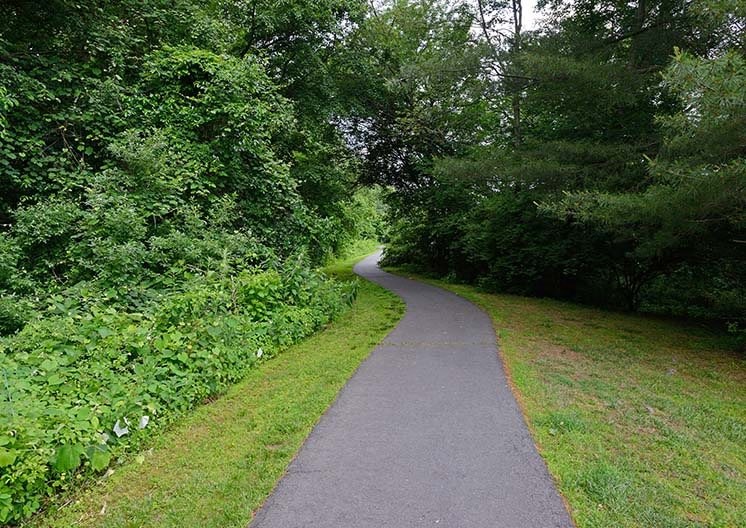 a paved path in a park with trees and grass