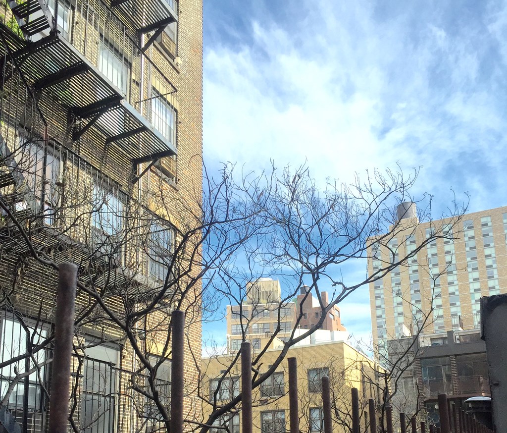 a view of the city from a park with trees and buildings