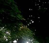 Big Sky Apartments Apartments In Billings Mt