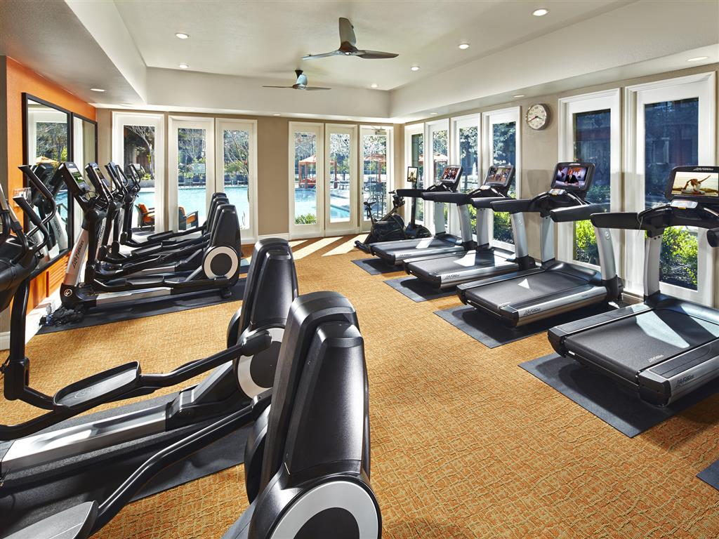fitness centers with cardio and functional training equipment